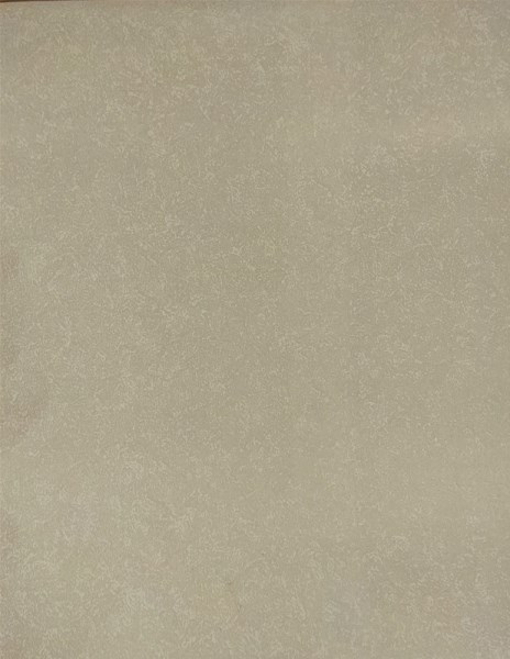 Tapetai 4003-7 FOAM 1,06m