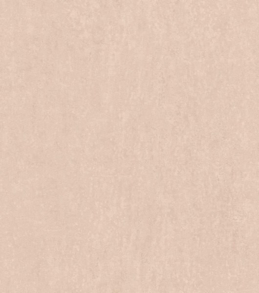 Tapetai Rasch 550030 0,53x10m