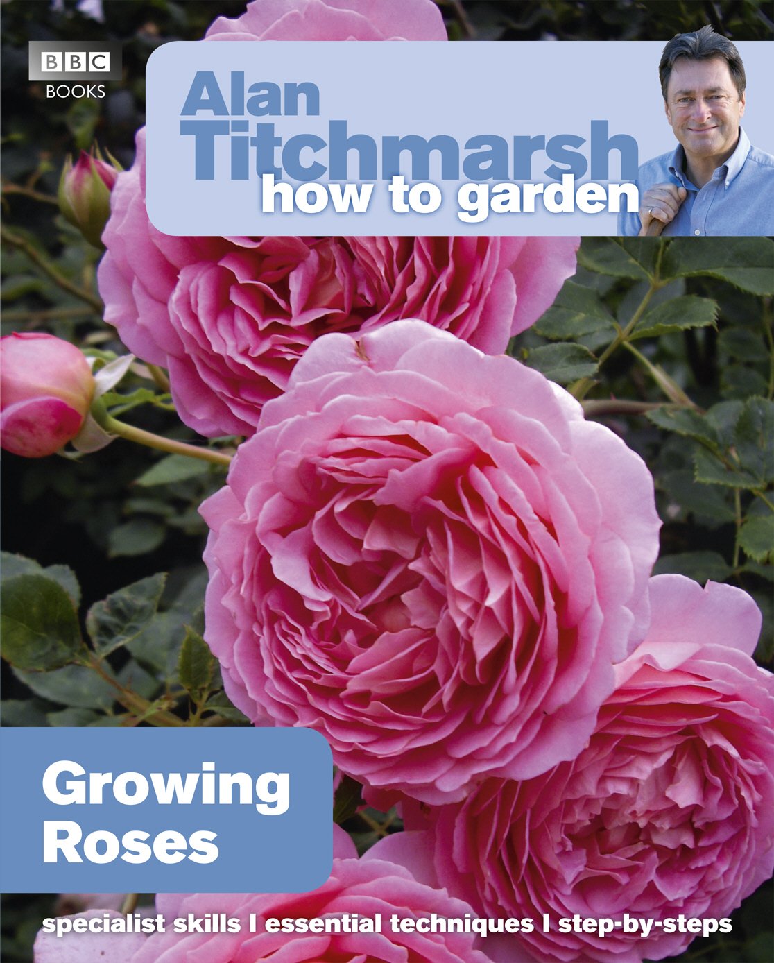 Growing Roses: How to Garden