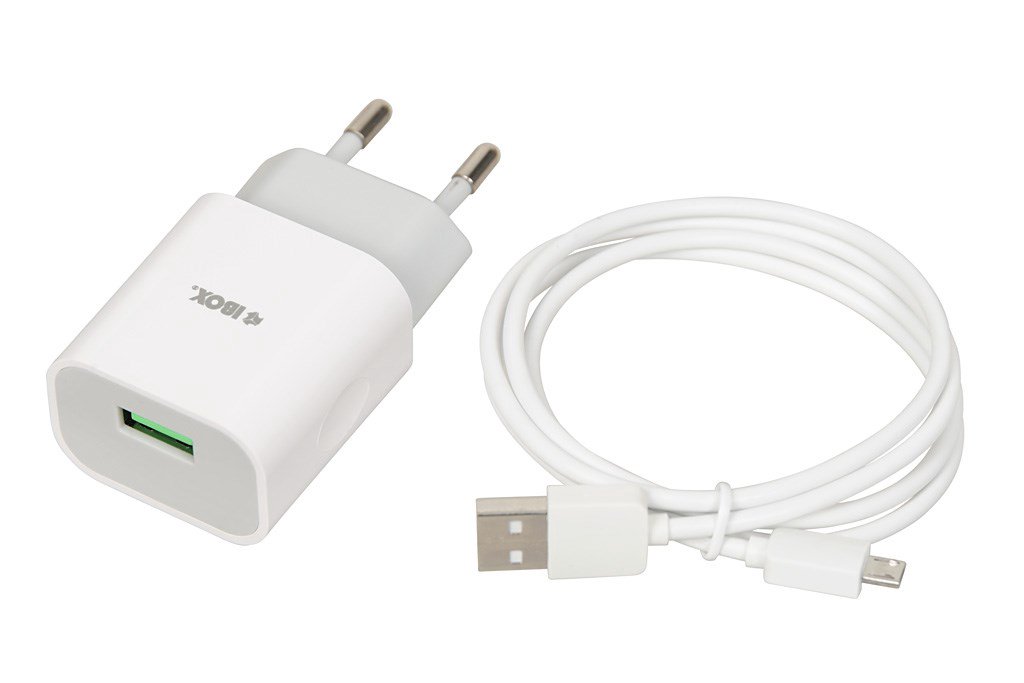 iBOX C-41 universalus įkroviklis su micro USB laidu, baltas