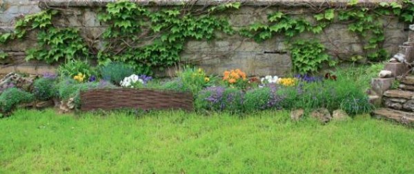 Tvorelė dekoratyvinė 0,30x1m Wildborder