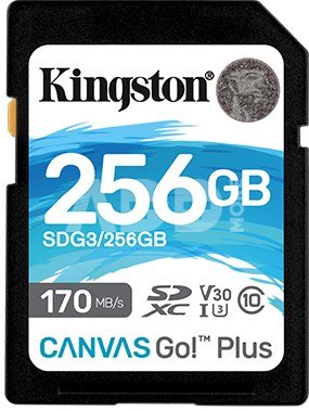 Kingston Canvas Go! Plus 256 GB, SD, Flash memory class 10