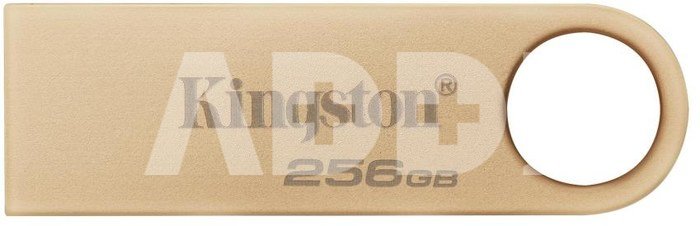 MEMORY DRIVE FLASH USB3.2/256GB DTSE9G3/256GB KINGSTON