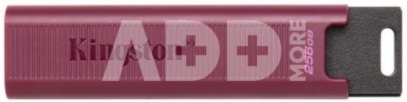 MEMORY DRIVE FLASH USB3.2/256GB DTMAXA/256GB KINGSTON
