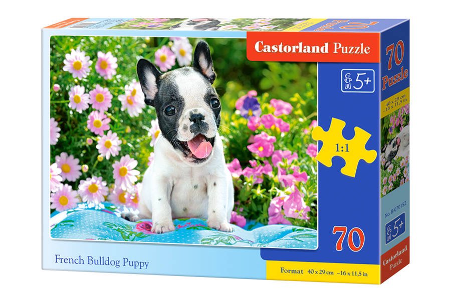 Dėlionė Castorland French Bulldog Puppy, 70 dalių