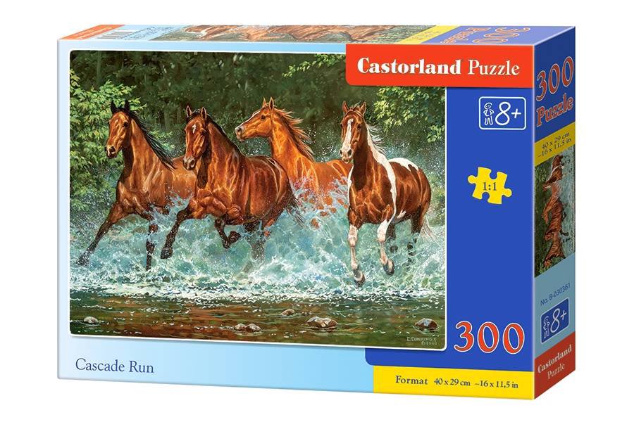 Dėlionė Castorland Cascade Run, 300 dalių