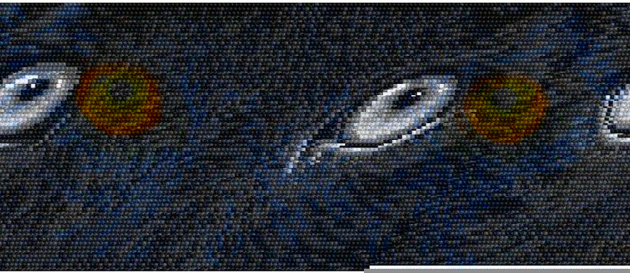 Deimantinė mozaika BLACK PANTHER SPY 42x18 cm