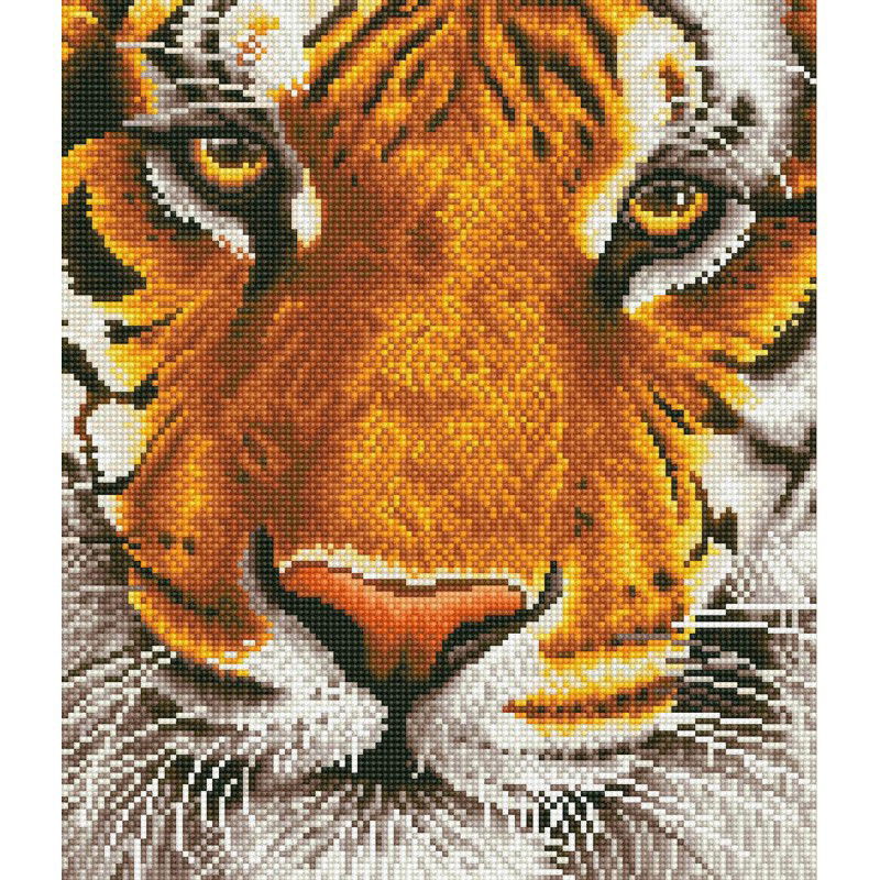 Deimantinė mozaika BENGAL MAGIC 42x36 cm