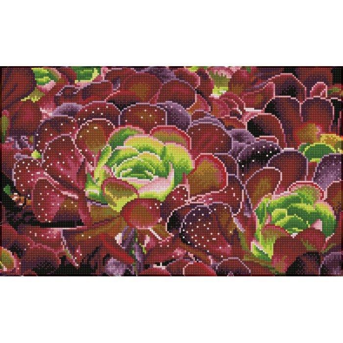 Deimantinė mozaika SUCCULENTS 32x52 cm