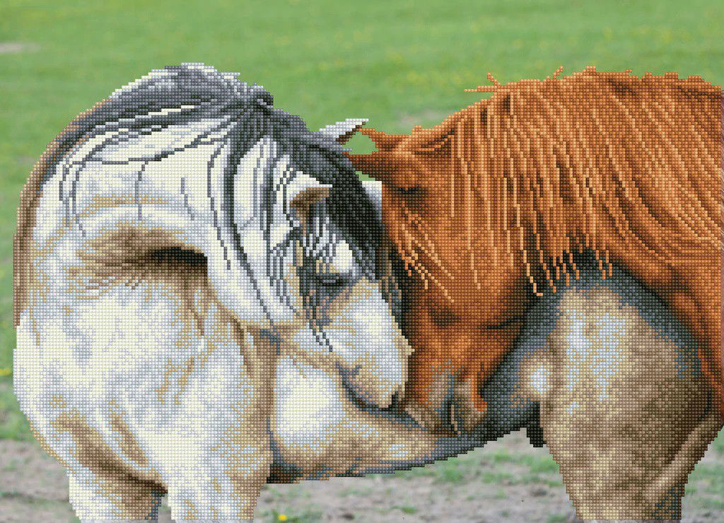 Deimantinė mozaika COURTSHIP 45x2 cm