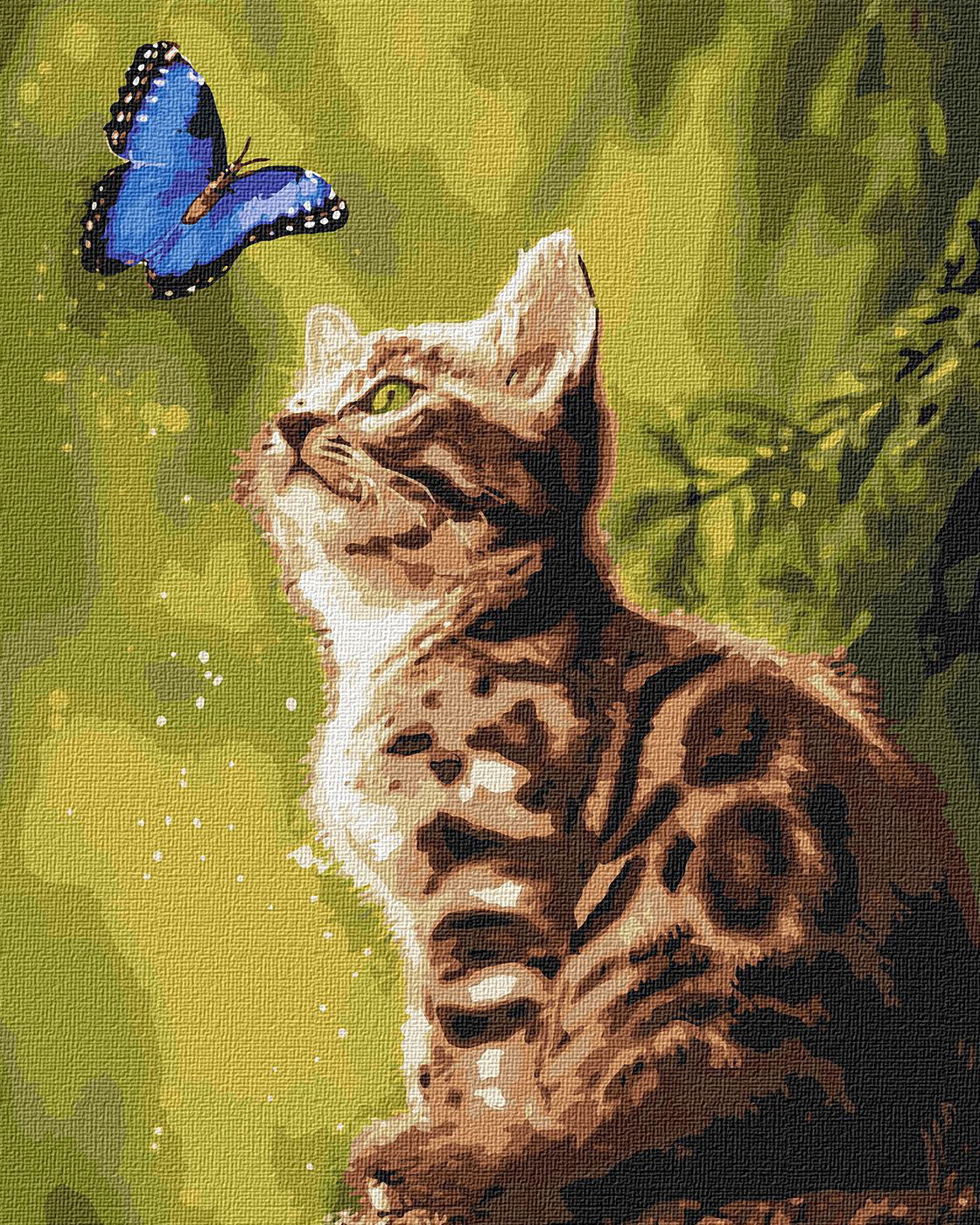 Tapyba pagal skaičius PASLAPTINGAS DRUGELIS 40x50 cm