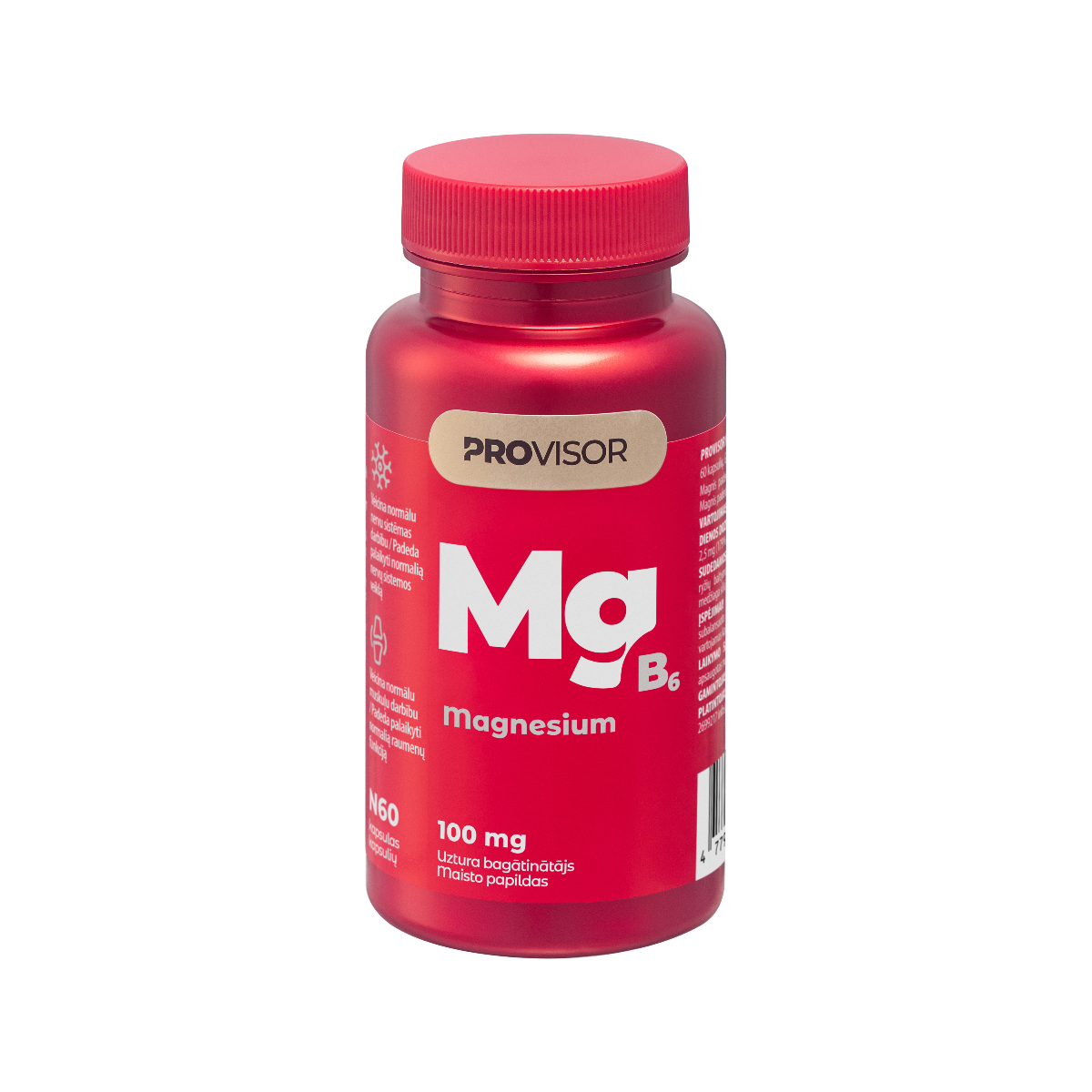 PROVISOR MAGNIS 100 MG + B6, 60 kapsulių