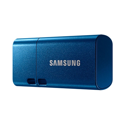 SAMSUNG USB Type-C 256GB USB 3.1 Flash|MUF-256DA/APC