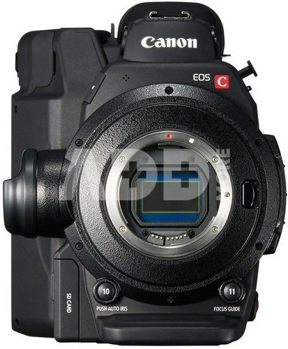 Canon EOS C300 Mark II (PL-Mount)