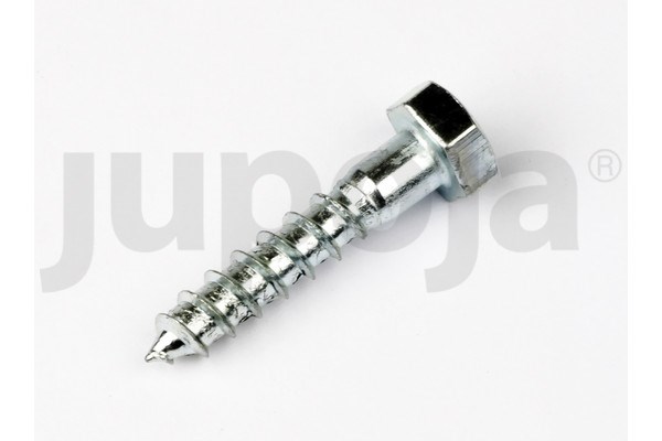 Medsraigčiai DIN-571 6x30 mm su šešiakampe galvute