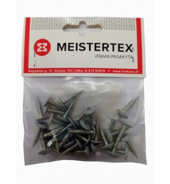 Savisriegiai met/met 4,2x19 mm 30 vnt RAL 7040 RR21