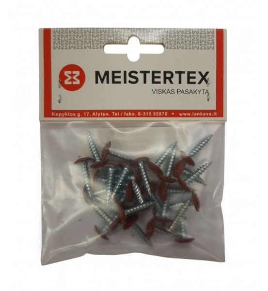 Savisriegiai met/met 4,2x19 mm 30 vnt RAL 3005 RR29