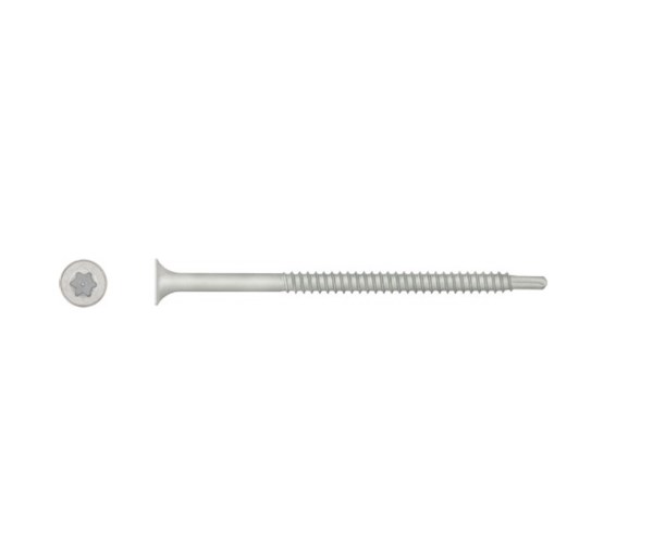Sraigtas WX-48T200 T25 100 mm, smeigėms, metalui
