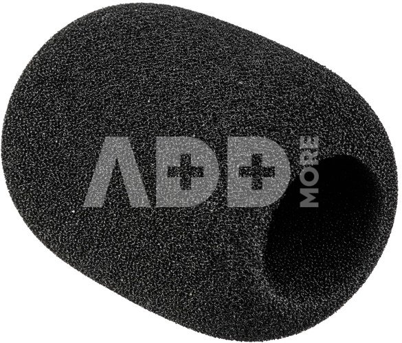 Rode WS2 windshield