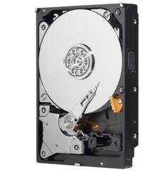 Vidinis kietasis diskas HDD WD 3.5" 1TB SATA3 7200rpm 64MB / Caviar Blue WD10EZEX