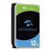 SEAGATE Surv. Video Skyhawk AI 12TB HDD