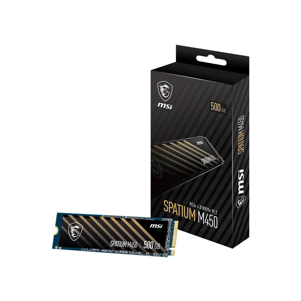 Vidinis kietasis diskas SSD MSI S78-440K190-P83