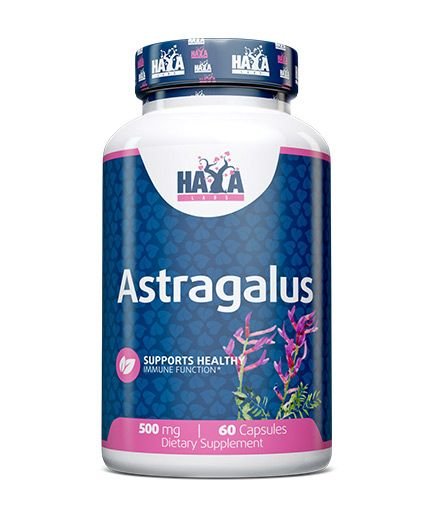 Haya Labs Astragalus (Astragalų ekstraktas) 60 kaps.