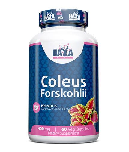 HAYA LABS Coleus Forskohlii - 60 kaps.