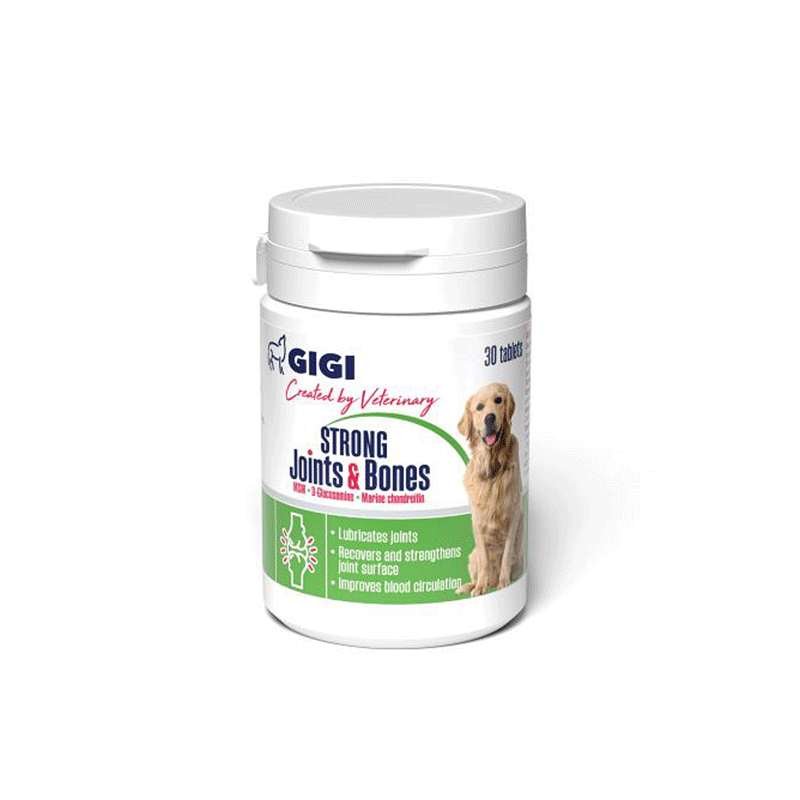 GIGI Strong Joints & Bones papildai šunims 30 tabl