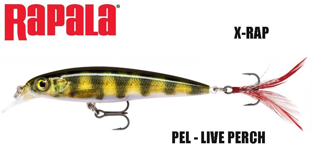 Rapala vobleris X-Rap PEL 10 cm