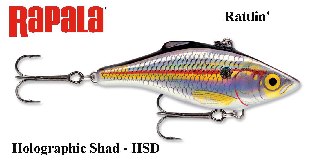 Vobleris Rapala Rattlin RNR Holographic Shad 4 cm