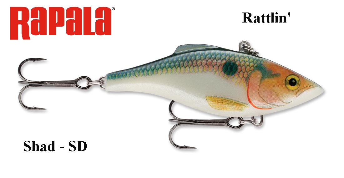 Vobleris Rapala Rattlin RNR Shad 4 cm