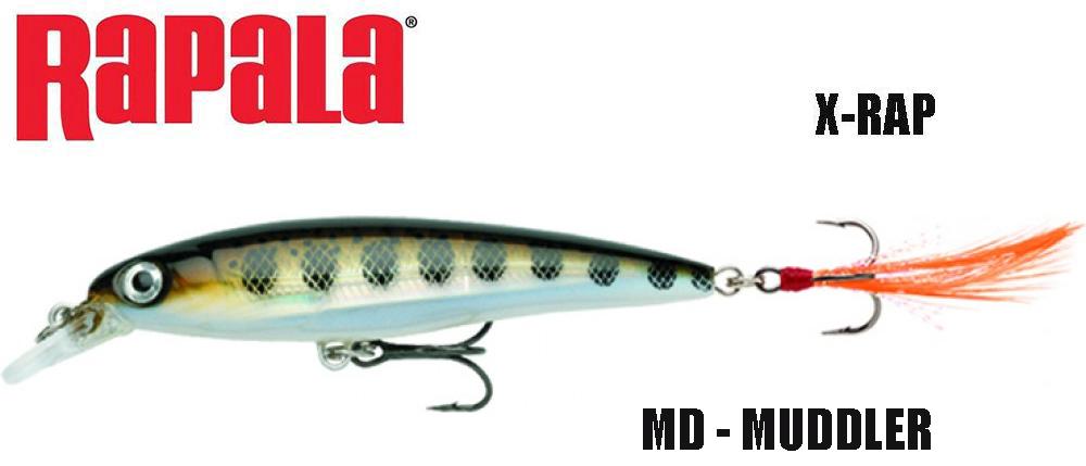 Rapala vobleris X-Rap MD 6 cm