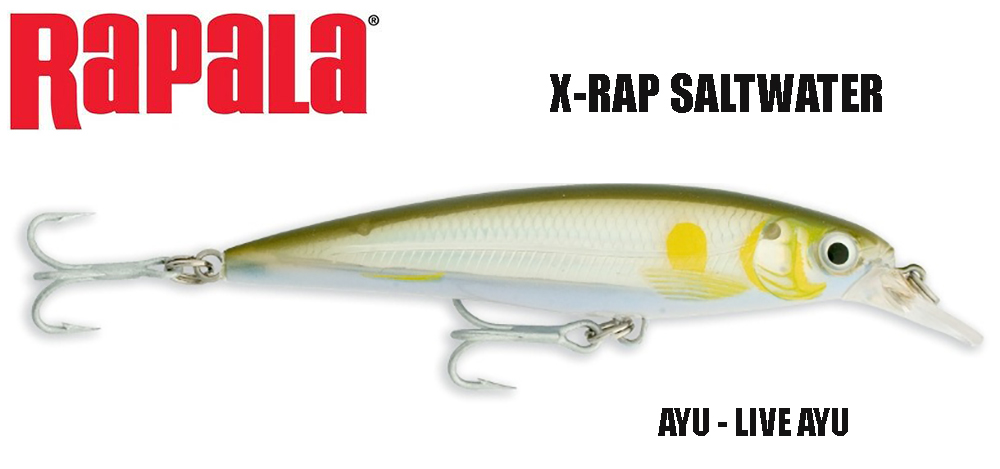 Rapala vobleris X-RAP Saltwater AYU 10 cm