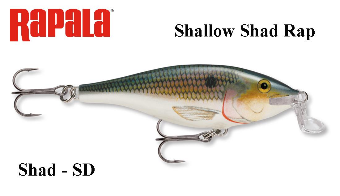 Vobleris Rapala Shallow Shad Rap Shad 5 cm