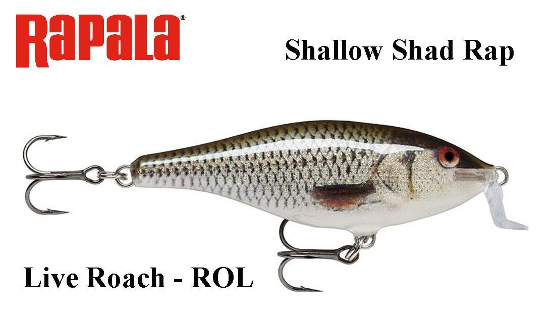 Vobleris Rapala Shallow Shad Rap Live Roach 5 cm