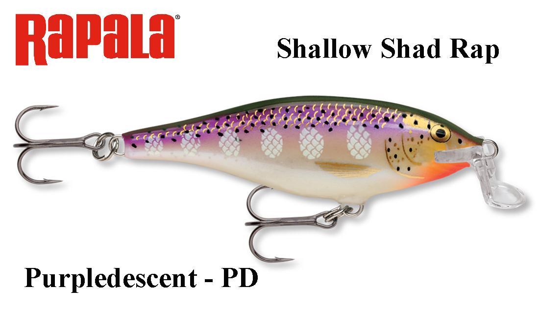Vobleris Rapala Shallow Shad Rap Purpledescent 5 cm