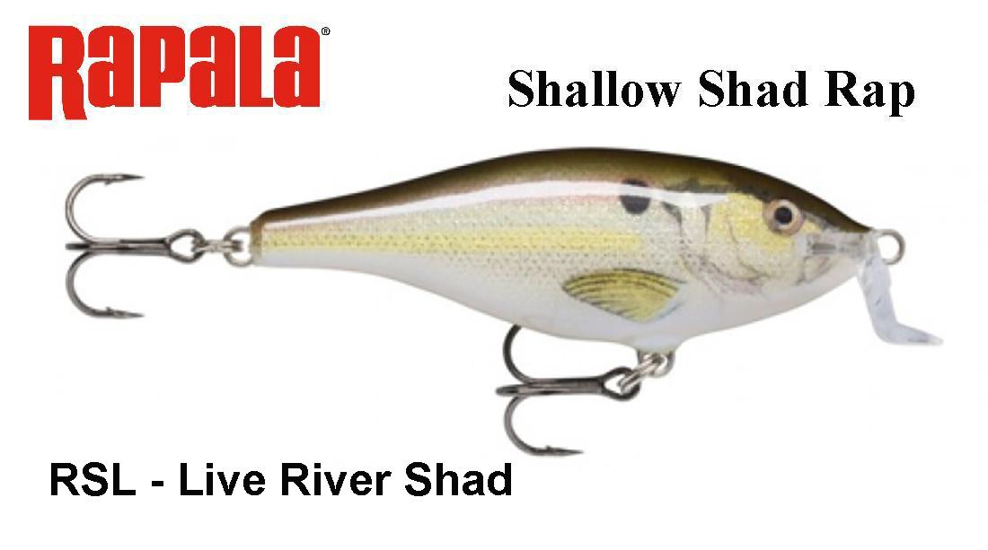 Vobleris Rapala Shallow Shad Rap Live River Shad 7 cm