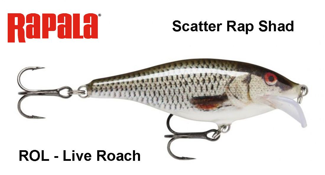 Vobleris Rapala Scatter Rap Shad Live Roach 7 cm
