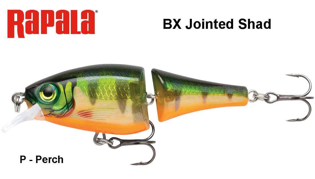 Vobleris Rapala BX Jointed Shad BXJSD Perch 6 cm