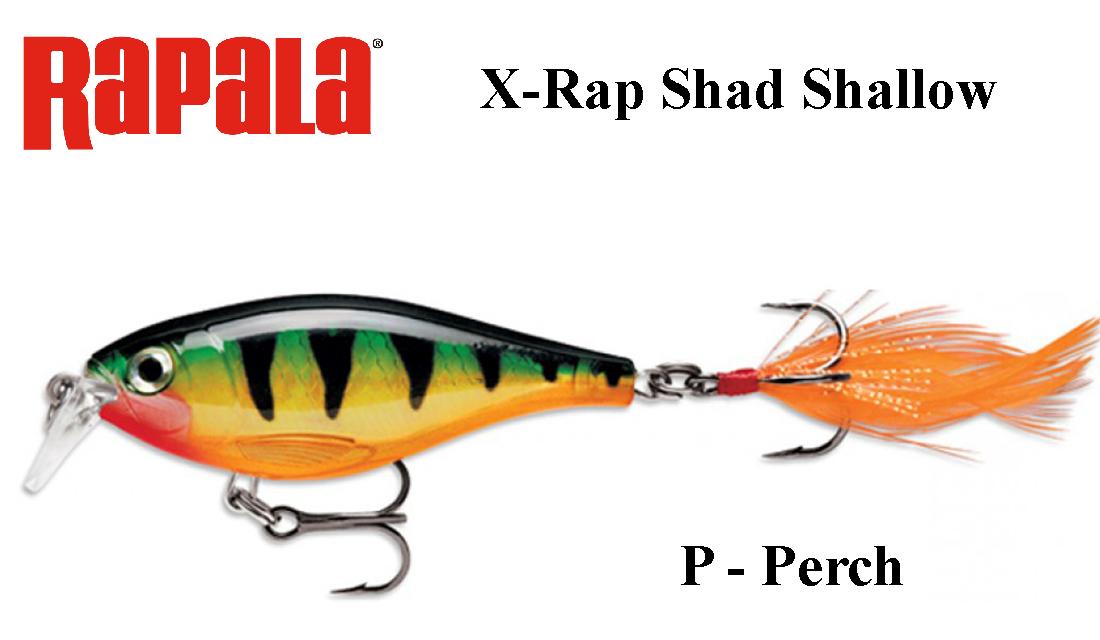 Vobleris Rapala X-Rap Shad Shallow P - Perch 6 cm