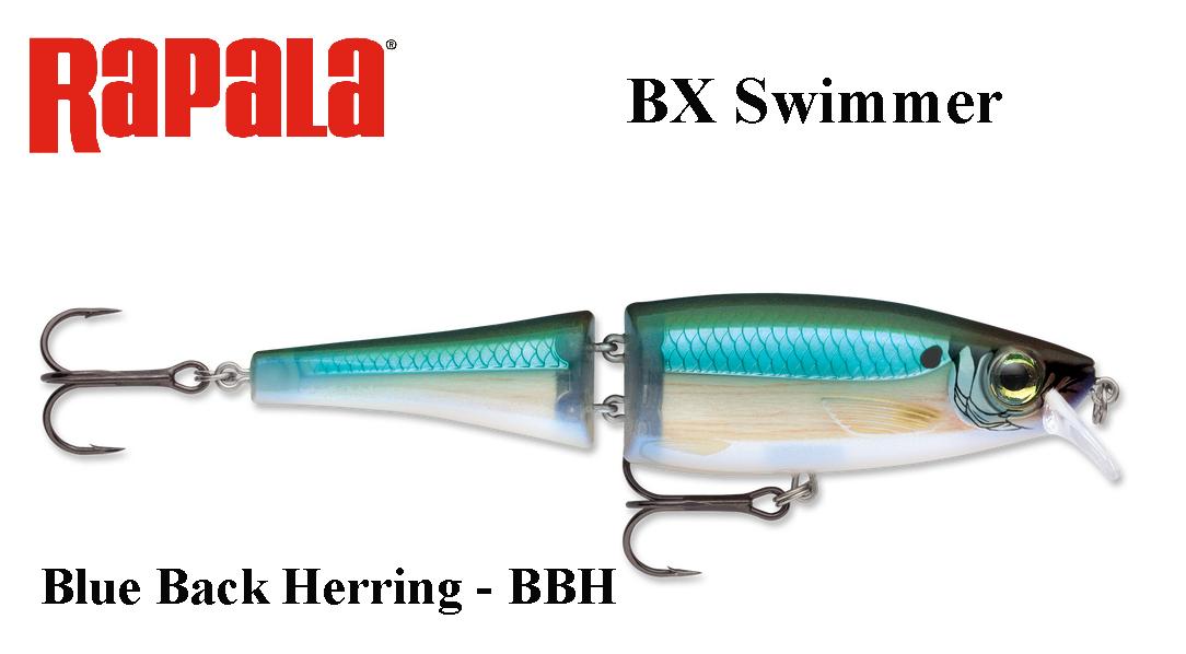 Rapala vobleris BX swimmer BXS12BBH - Blue Back Herring 12 cm