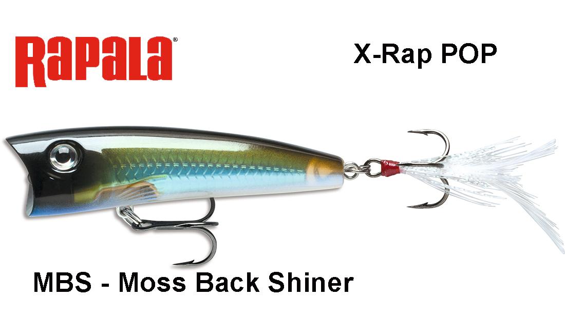 Vobleris Rapala X-Rap Pop XRP Moss Back Shiner 7 cm