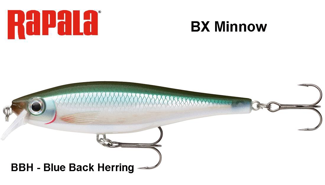Vobleris Rapala BX Minnow BXM Blue Back Herring 10 cm