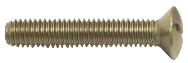 Varžtas sifono praustuvui nerūdijančio plieno M6x60mm