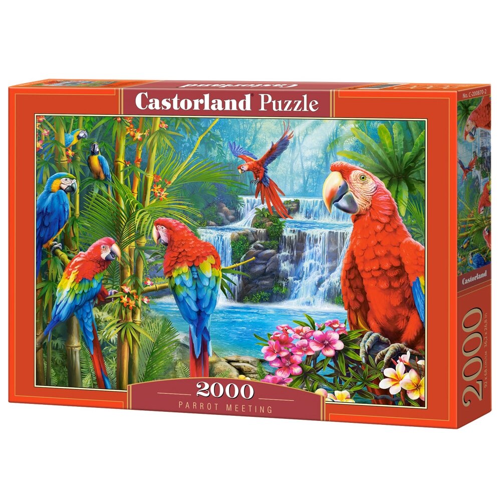 Castorland dėlionė Parrot Meeting 2000 det.