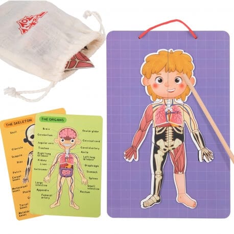 Tooky Toy Montessori Magnetinė Medinė Dėlionė Žmogaus Anatomija 78el.