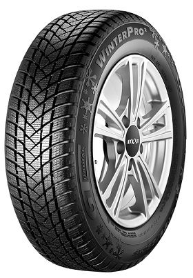 GT Radial WinterPro 2 205/55 R16 91 H