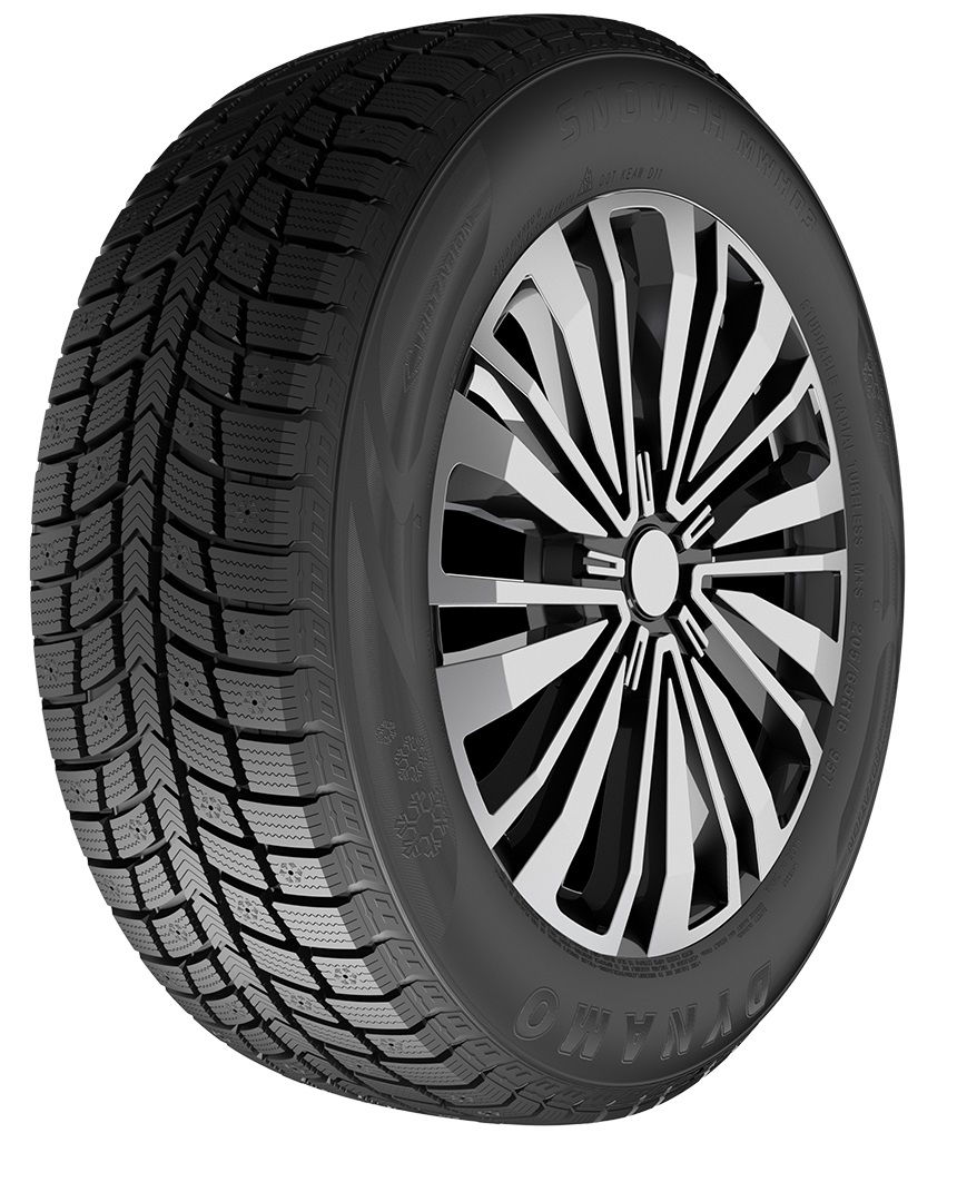 Dynamo Snow-H MWH03 195/55R15 85 H