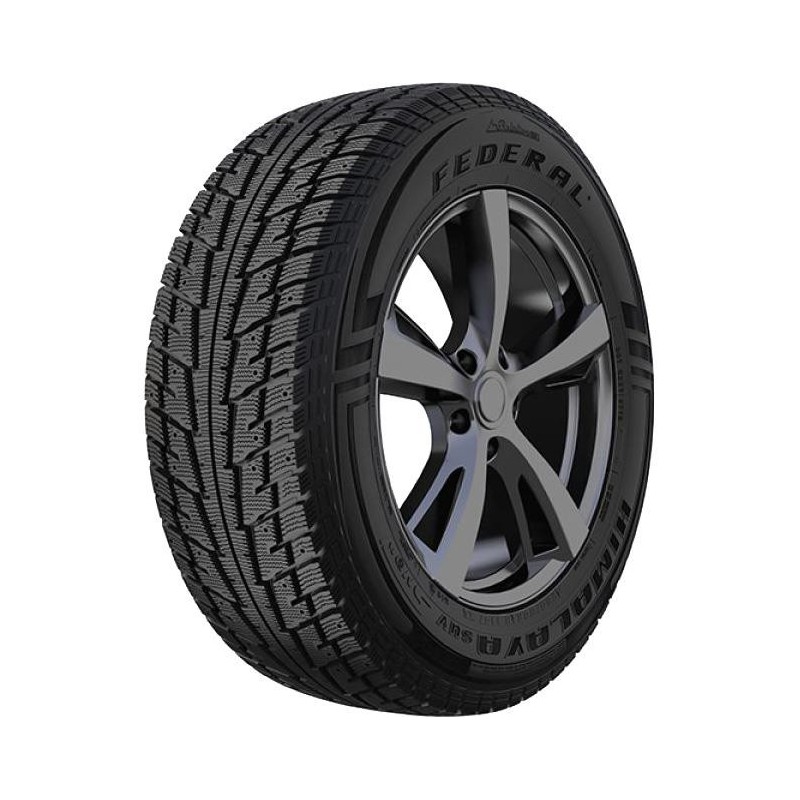 FEDERAL Himalaya SUV 275/40 R20